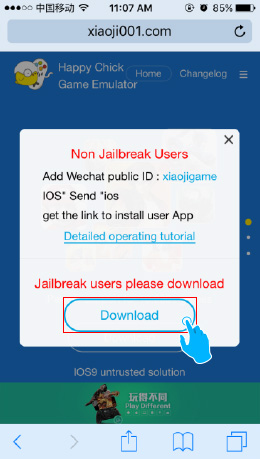 Website on iPhone pic 2